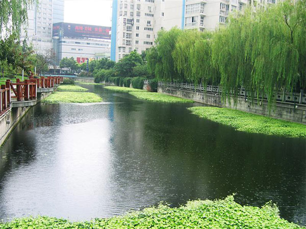 自然水體修復(fù)