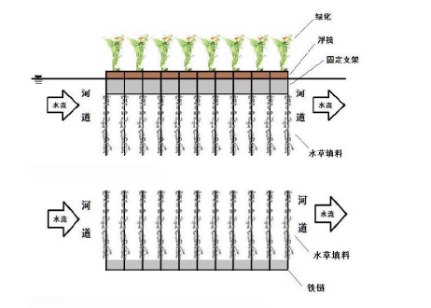 生物浮床的結(jié)構(gòu)特征