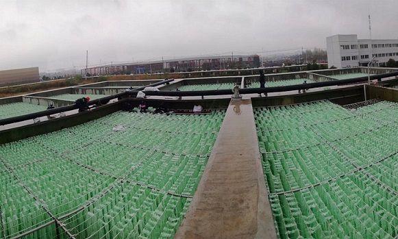 生物填料印染行業(yè)案例