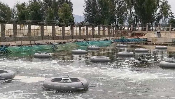 昆明滇池某河道修復(fù)填料案例